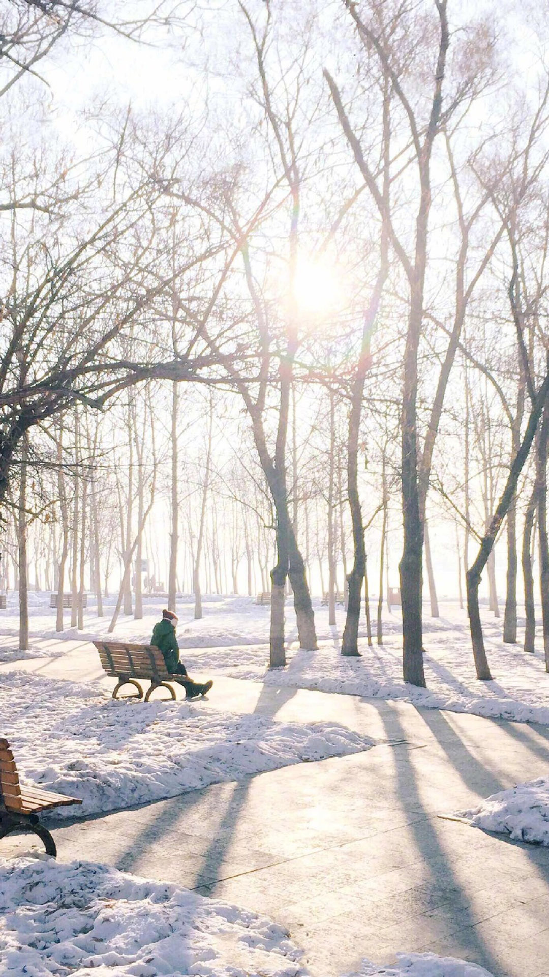 唯美的冬日雪景图片高清手机壁纸