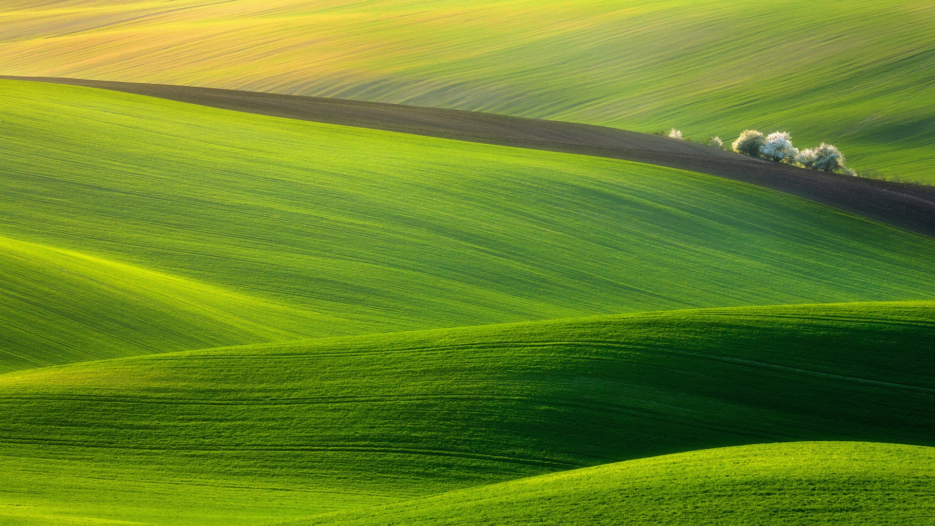清新绿色草原风景图片高清桌面电脑壁纸