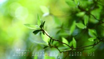 2018年10月高清绿色植物风景桌面日历壁纸